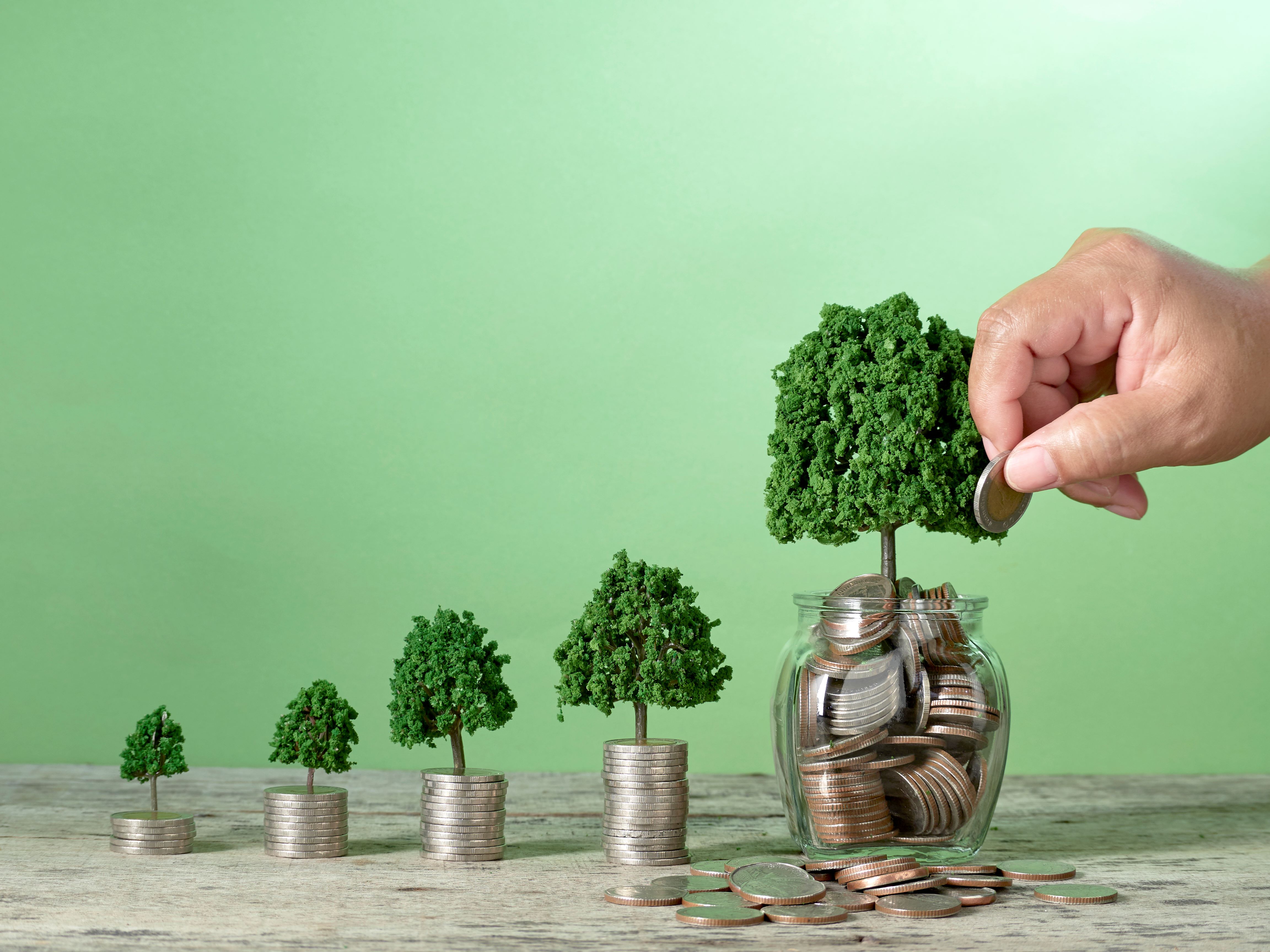 mutual funds.jpg